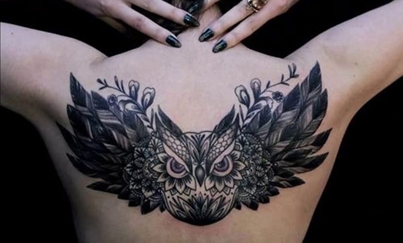 Owl tattoos on the back